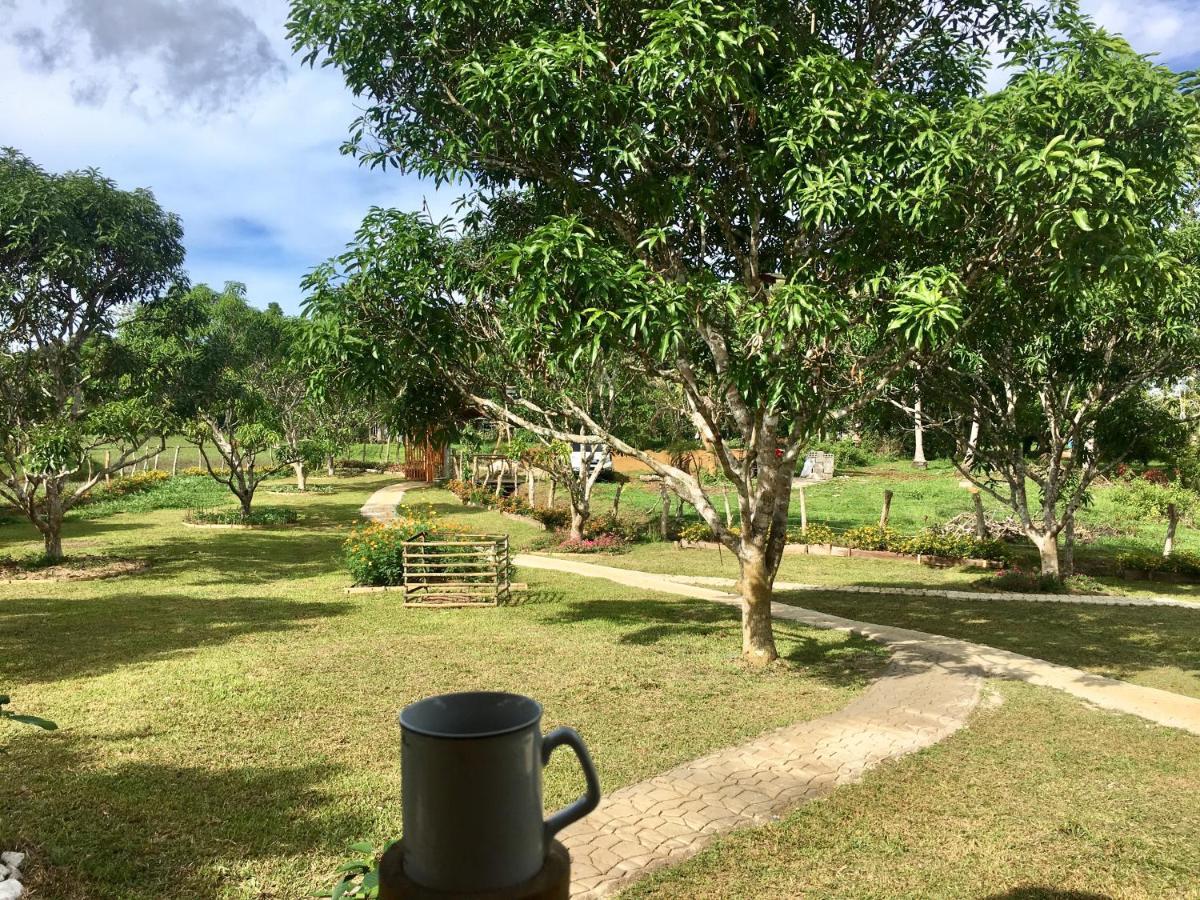 Camelo Farm Hotel Bilar Buitenkant foto