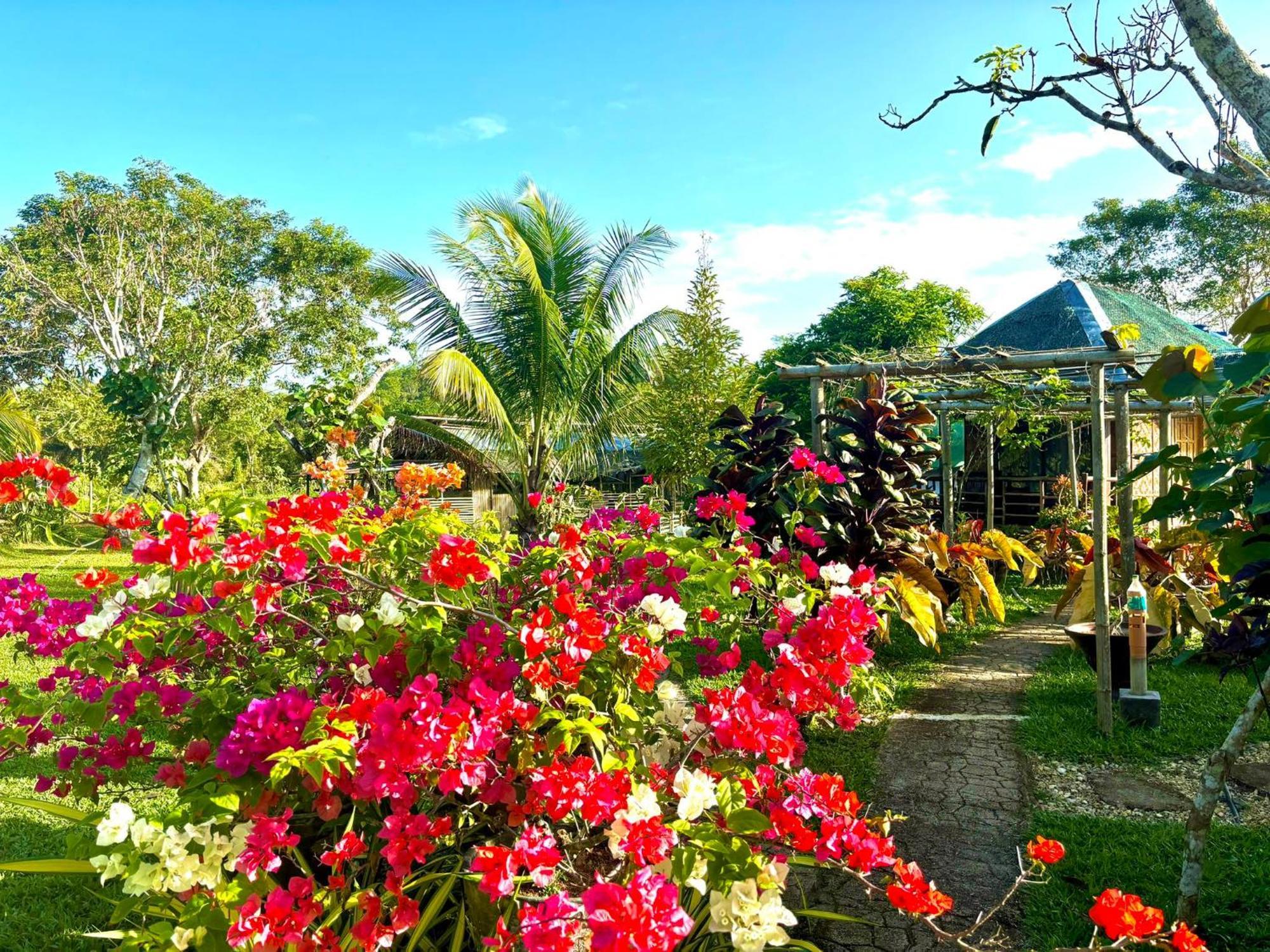 Camelo Farm Hotel Bilar Buitenkant foto