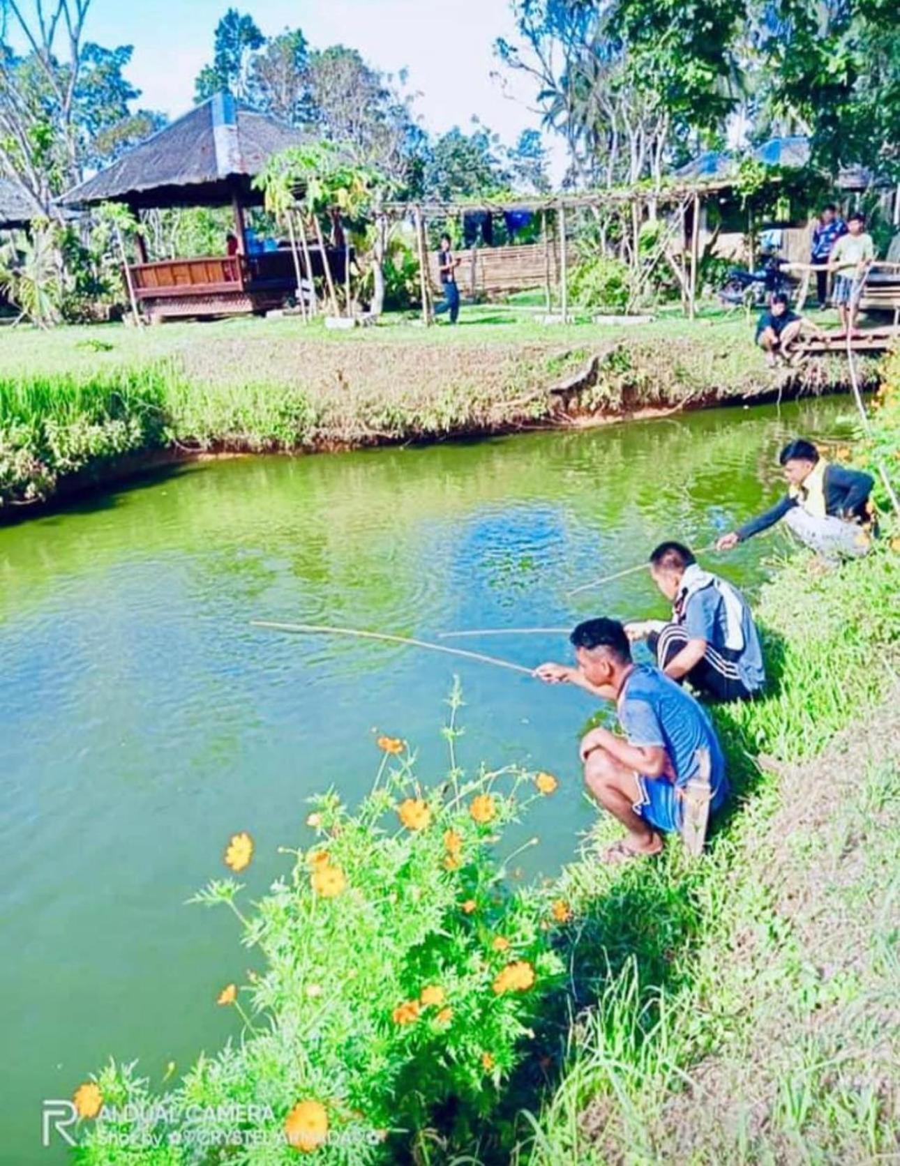 Camelo Farm Hotel Bilar Buitenkant foto
