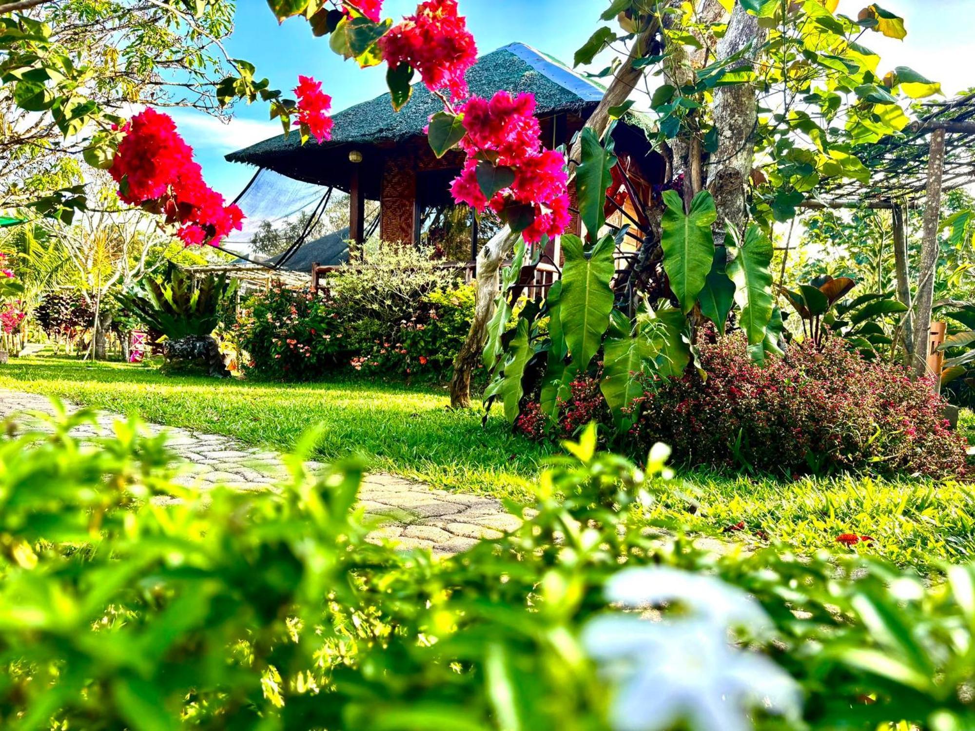 Camelo Farm Hotel Bilar Buitenkant foto